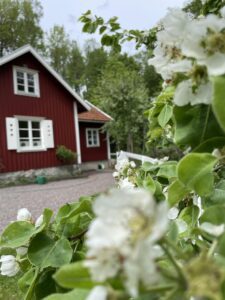 Nytt tak i Frändefors av Badger